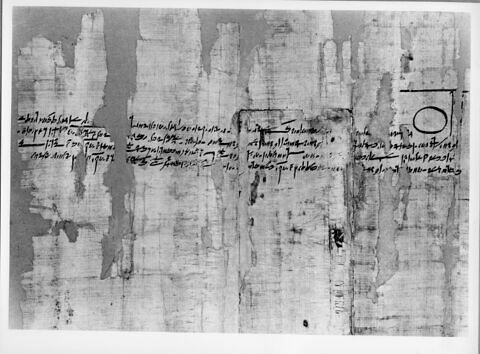 papyrus documentaire, image 5/6