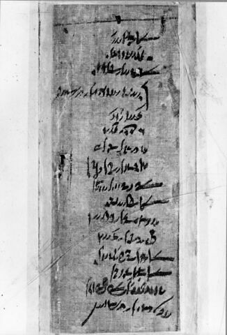 papyrus documentaire, image 6/6