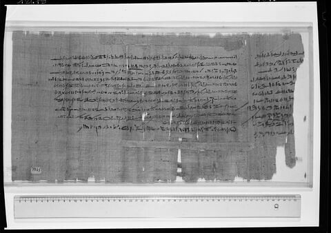 papyrus documentaire