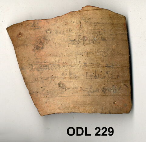 ostracon