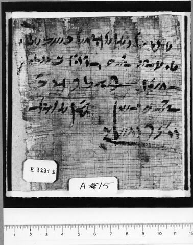 papyrus documentaire