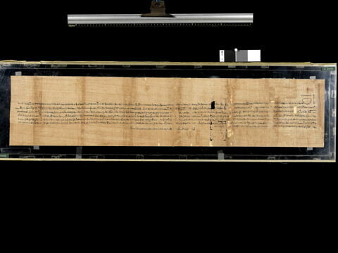 papyrus documentaire