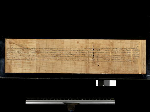 papyrus documentaire