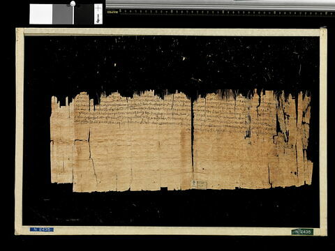 papyrus documentaire