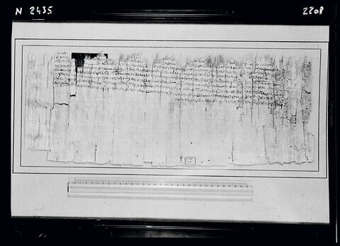 papyrus documentaire, image 3/5