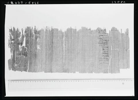 papyrus documentaire, image 5/5