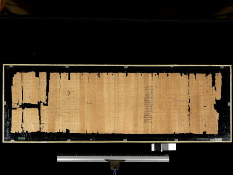 papyrus documentaire, image 2/2