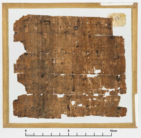 papyrus documentaire, image 2/2