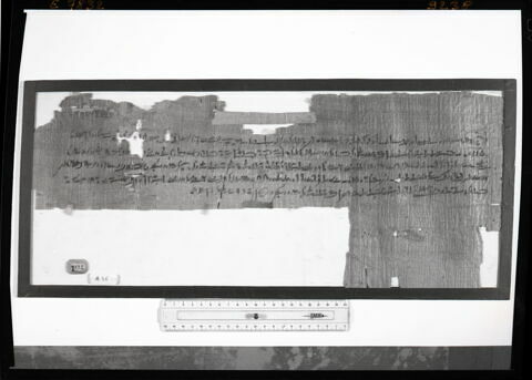 papyrus documentaire