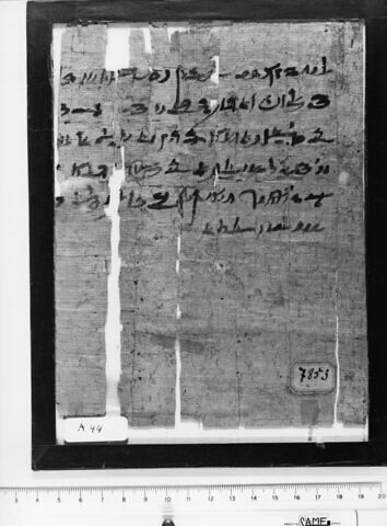 papyrus documentaire