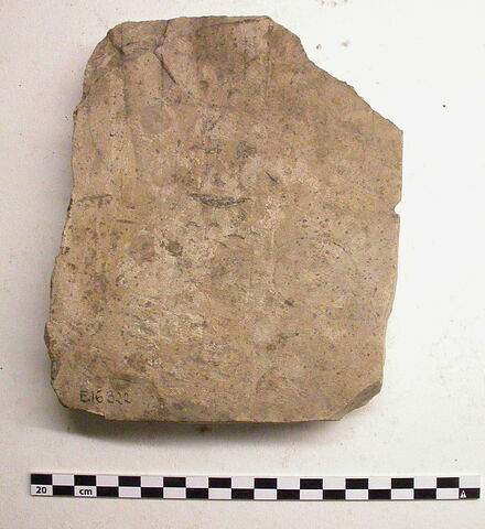 ostracon figuré  ; stèle