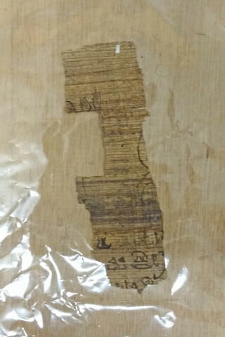 papyrus funéraire, image 5/9