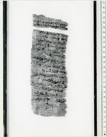 papyrus documentaire