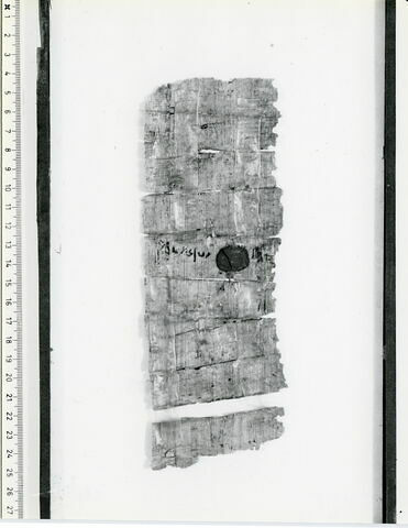 papyrus documentaire, image 2/2