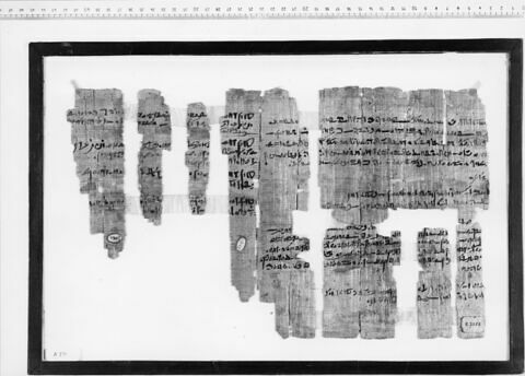 papyrus documentaire