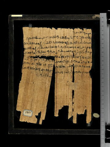 papyrus documentaire