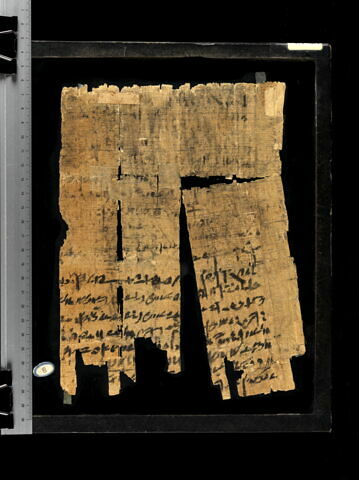 papyrus documentaire, image 2/2