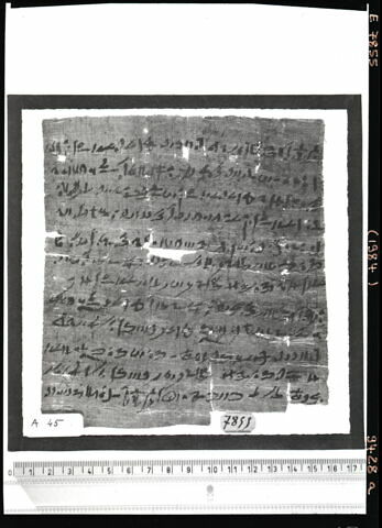 papyrus documentaire