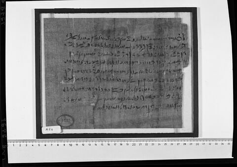 papyrus documentaire