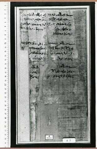 papyrus documentaire, image 3/3