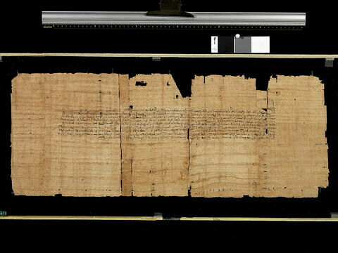 papyrus documentaire