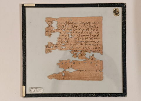 papyrus documentaire