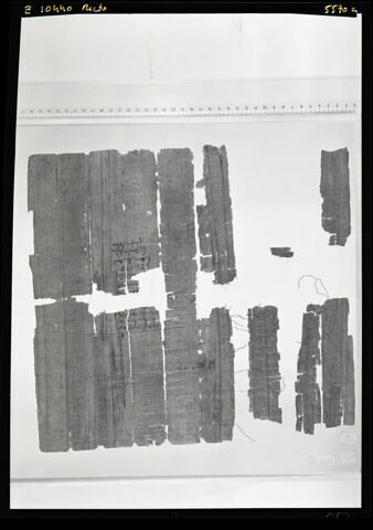 papyrus documentaire