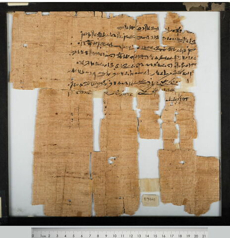 papyrus documentaire