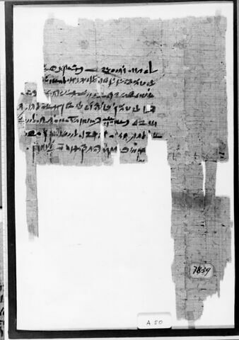 papyrus documentaire