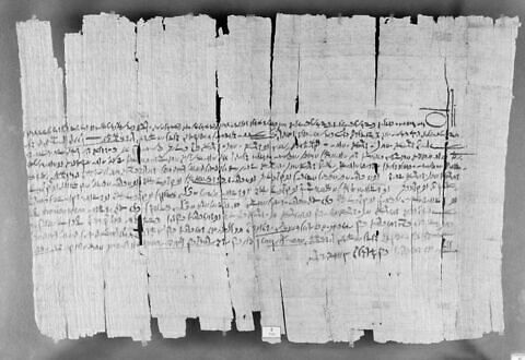 papyrus documentaire, image 4/4