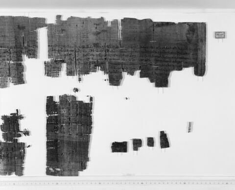 papyrus documentaire, image 3/5