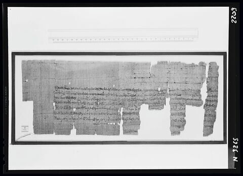 papyrus documentaire, image 3/3