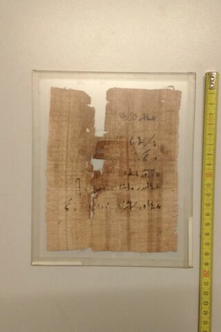 papyrus documentaire, image 2/2