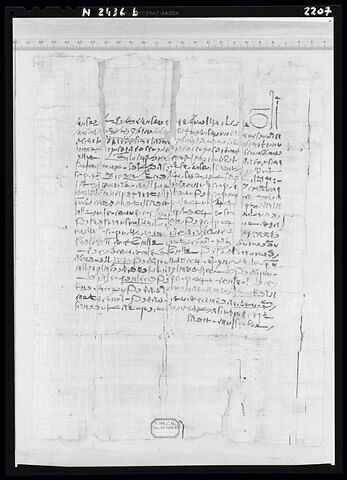 papyrus documentaire, image 2/2