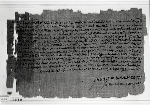 papyrus documentaire, image 3/6