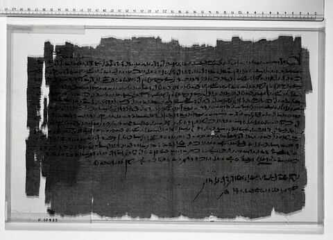 papyrus documentaire, image 4/6