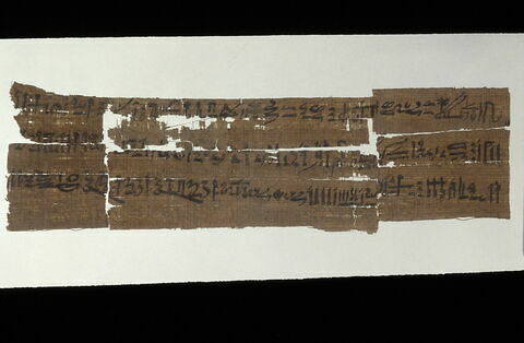 papyrus documentaire, image 6/6