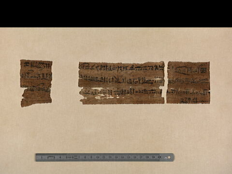 papyrus documentaire, image 3/6