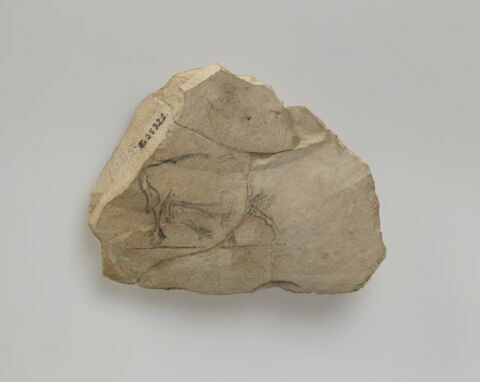 ostracon figuré, image 2/2