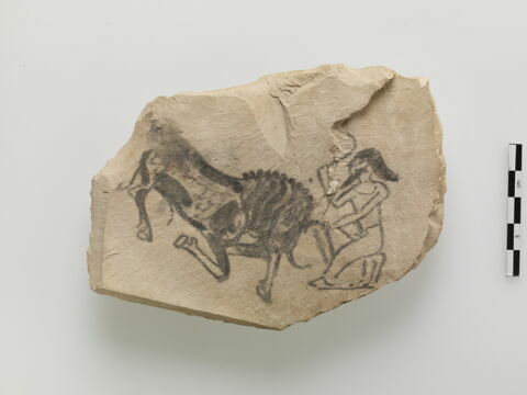 ostracon figuré