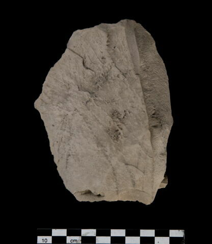 ostracon figuré