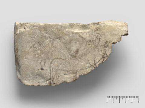 ostracon figuré