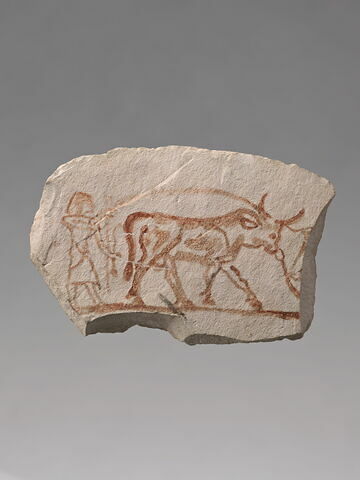 ostracon figuré