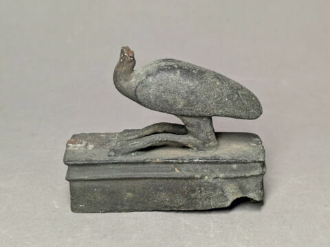 figurine de donateur  ; sarcophage d'ibis