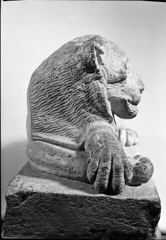 Lion du Sérapéum, image 6/7