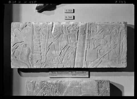 relief mural  ; bloc de paroi, image 2/2