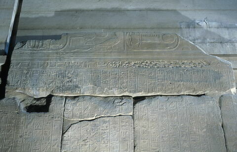 Le mur des annales de Thoutmosis III, image 10/21