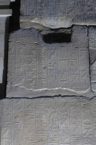 Le mur des annales de Thoutmosis III, image 11/21
