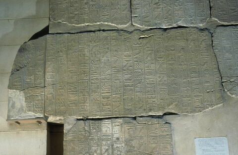 Le mur des annales de Thoutmosis III, image 16/21