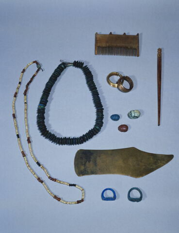 scarabée, image 2/4